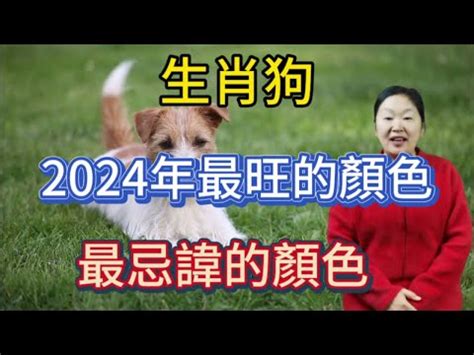 狗 幸運色|【生肖狗幸運顏色】生肖狗必看！2024年幸運色大公。